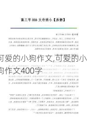 可爱的小狗作文,可爱的小狗作文400字