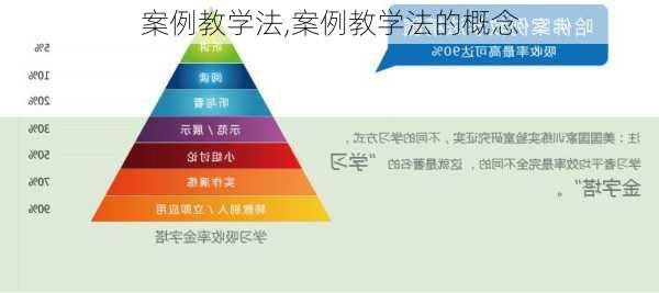 案例教学法,案例教学法的概念