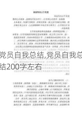 党员自我总结,党员自我总结200字左右