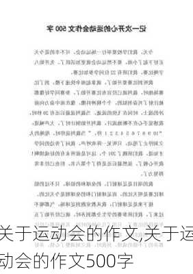 关于运动会的作文,关于运动会的作文500字