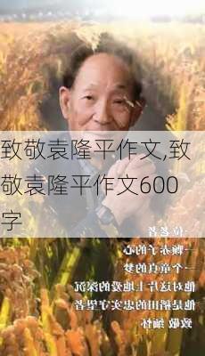 致敬袁隆平作文,致敬袁隆平作文600字