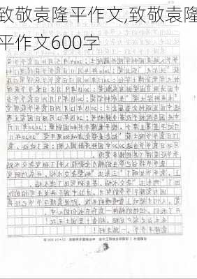 致敬袁隆平作文,致敬袁隆平作文600字