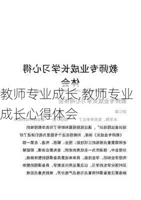 教师专业成长,教师专业成长心得体会