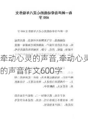 牵动心灵的声音,牵动心灵的声音作文600字