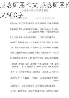 感念师恩作文,感念师恩作文600字