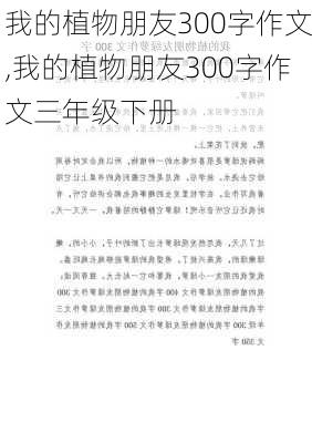 我的植物朋友300字作文,我的植物朋友300字作文三年级下册