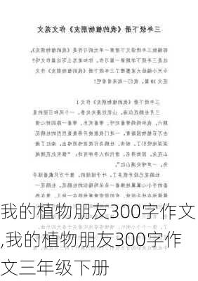 我的植物朋友300字作文,我的植物朋友300字作文三年级下册