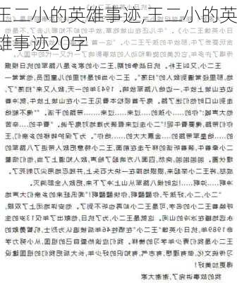 王二小的英雄事迹,王二小的英雄事迹20字