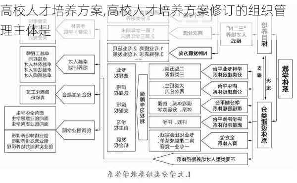 高校人才培养方案,高校人才培养方案修订的组织管理主体是