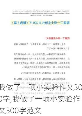 我做了一项小实验作文300字,我做了一项小实验作文300字范文