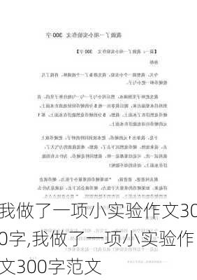 我做了一项小实验作文300字,我做了一项小实验作文300字范文