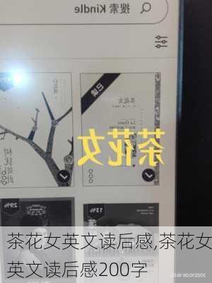 茶花女英文读后感,茶花女英文读后感200字