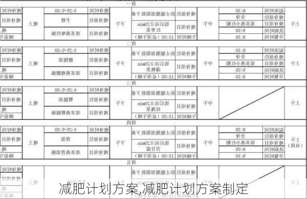 减肥计划方案,减肥计划方案制定