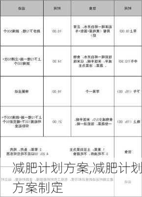 减肥计划方案,减肥计划方案制定