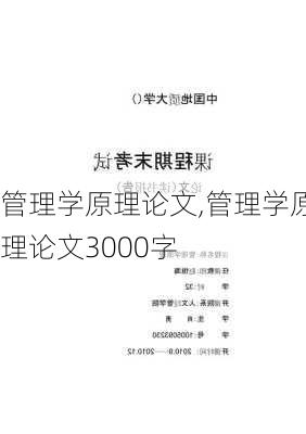 管理学原理论文,管理学原理论文3000字