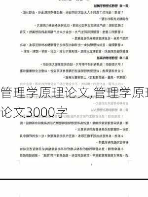 管理学原理论文,管理学原理论文3000字