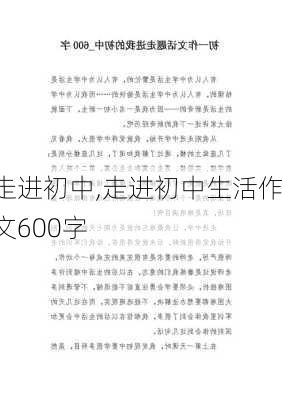 走进初中,走进初中生活作文600字