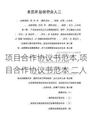 项目合作协议书范本,项目合作协议书范本 二人