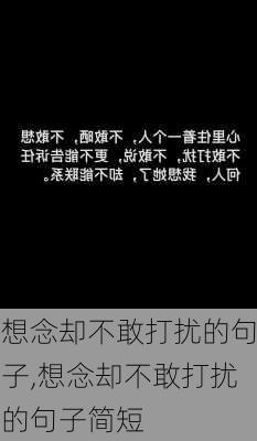 想念却不敢打扰的句子,想念却不敢打扰的句子简短