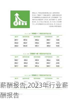 薪酬报告,2023年行业薪酬报告