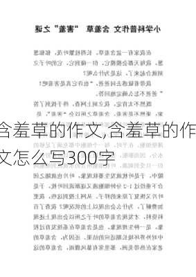 含羞草的作文,含羞草的作文怎么写300字