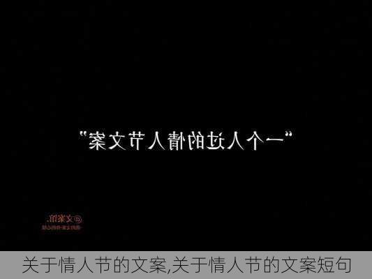 关于情人节的文案,关于情人节的文案短句