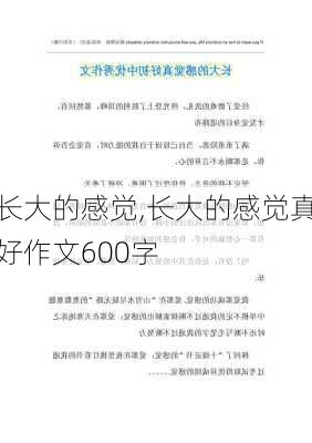 长大的感觉,长大的感觉真好作文600字