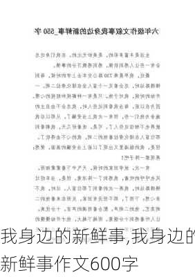 我身边的新鲜事,我身边的新鲜事作文600字