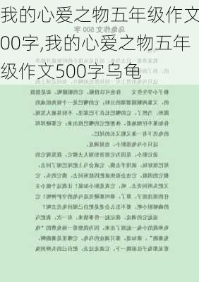 我的心爱之物五年级作文500字,我的心爱之物五年级作文500字乌龟