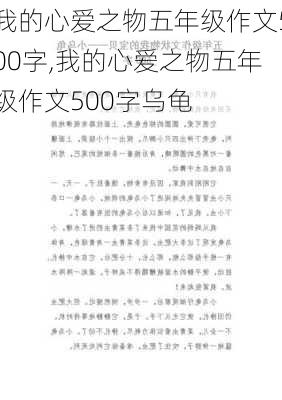 我的心爱之物五年级作文500字,我的心爱之物五年级作文500字乌龟