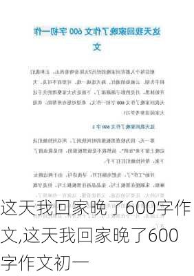 这天我回家晚了600字作文,这天我回家晚了600字作文初一