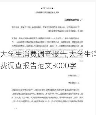 大学生消费调查报告,大学生消费调查报告范文3000字