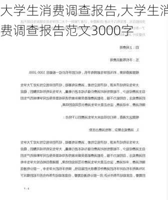 大学生消费调查报告,大学生消费调查报告范文3000字