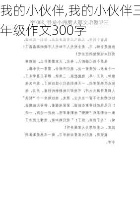 我的小伙伴,我的小伙伴三年级作文300字