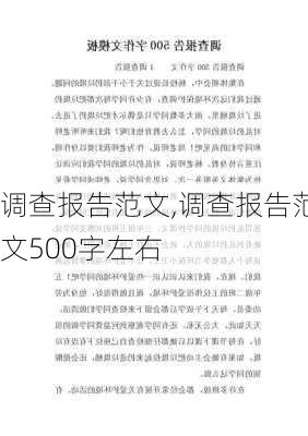 调查报告范文,调查报告范文500字左右