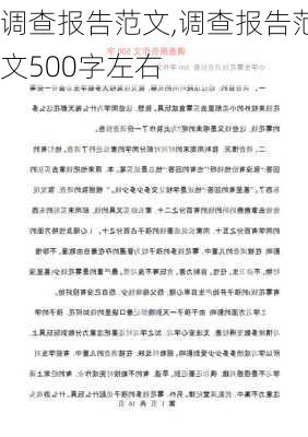 调查报告范文,调查报告范文500字左右