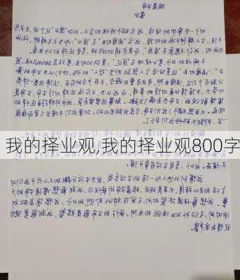 我的择业观,我的择业观800字