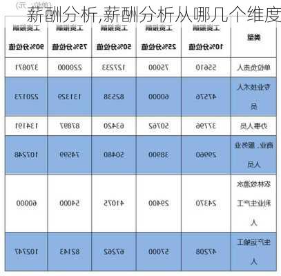 薪酬分析,薪酬分析从哪几个维度