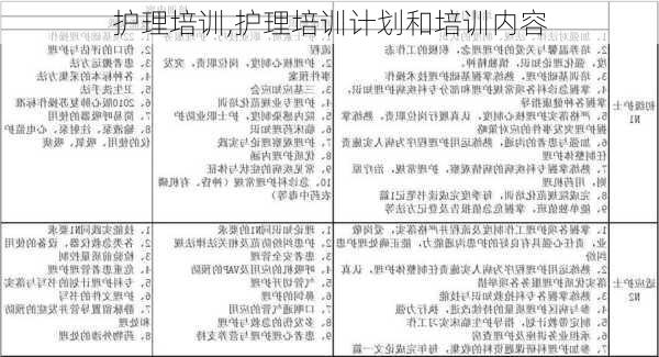 护理培训,护理培训计划和培训内容