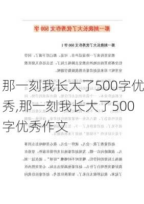 那一刻我长大了500字优秀,那一刻我长大了500字优秀作文