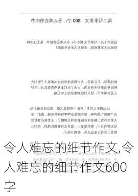 令人难忘的细节作文,令人难忘的细节作文600字