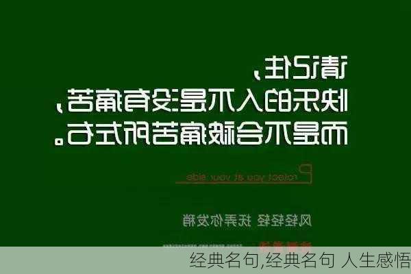 经典名句,经典名句 人生感悟