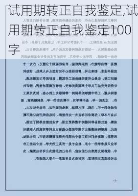 试用期转正自我鉴定,试用期转正自我鉴定100字