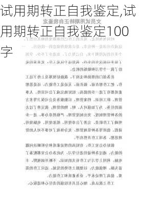 试用期转正自我鉴定,试用期转正自我鉴定100字