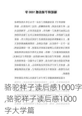 骆驼祥子读后感1000字,骆驼祥子读后感1000字大学篇