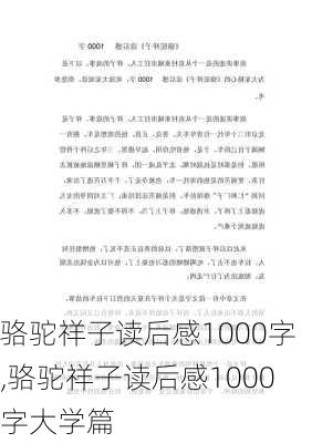 骆驼祥子读后感1000字,骆驼祥子读后感1000字大学篇