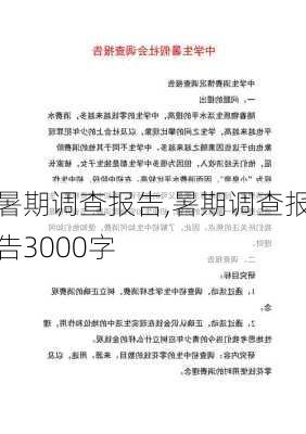 暑期调查报告,暑期调查报告3000字