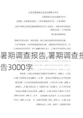 暑期调查报告,暑期调查报告3000字