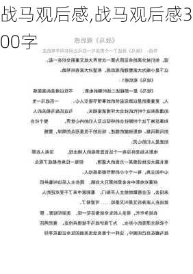 战马观后感,战马观后感300字