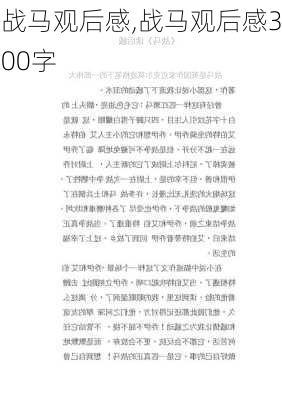 战马观后感,战马观后感300字